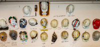 Wall display of worn and decorated hard hats with names written below them in marker.